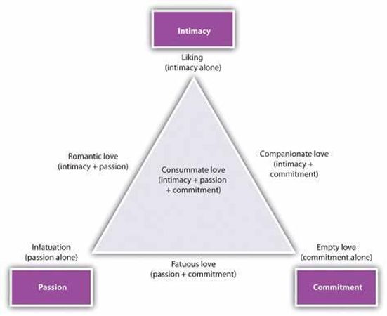 What do you seek the most in a romantic relationship?