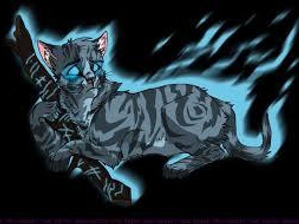 Me: Next? Jayfeather: May I please? Me: Sure! Jayfeather: If you could be any rank, What would it be? Me: Great Question! Jayfeather: Great! :D Me: Don't tell me you brang the others... Jayfeather: I didn't