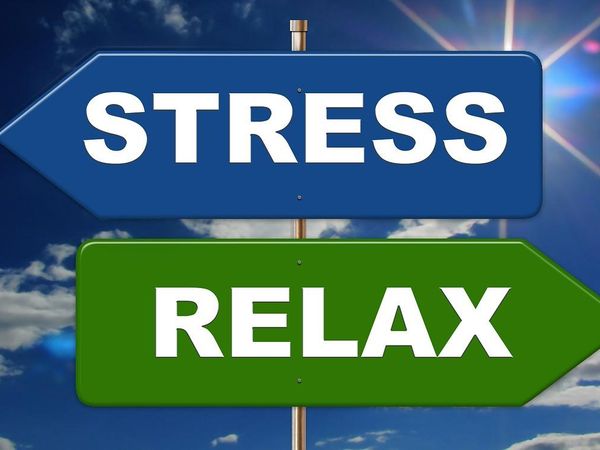 How do you handle pressure and stress?