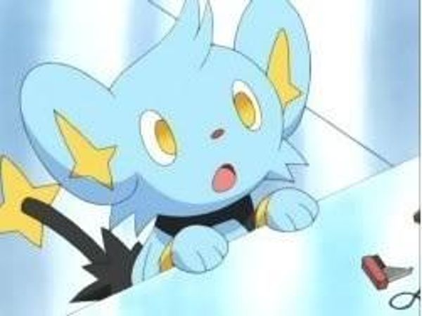 Chatot flew over to you "what happened ?" Chatot asked, examining Eevee "no time to explain just help her !" You said on the verge of tears. You rushed Eevee to your room and laid her down gently on the bed. Chatot came in with the first aid kit.