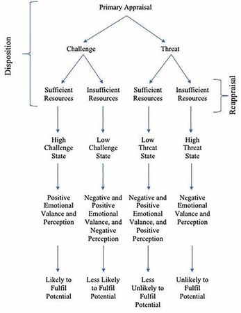 How do you approach challenges in sports?