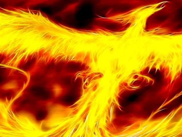 What do you think of Phoenixes?