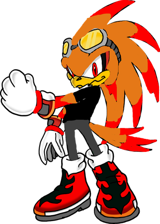 You looked at him shocked. The lab, your mother screaming, your sister dead. It all flashed through your mind as you held your head. You felt someone lift you off the ground and saw an orange and red bird carrying you away from Eggman.