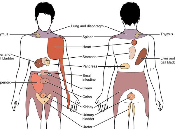 Which type of pain do you feel?