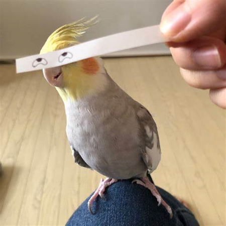 Hewwo dis is Burby-burb-burb-burb-burd-birdy-bird he knows ur bored so hes here