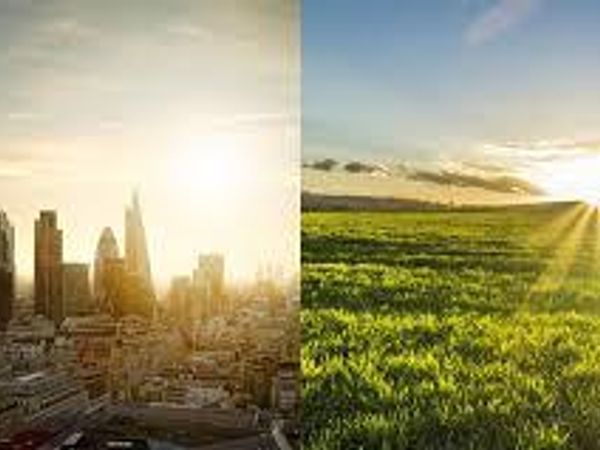 Would you rather live in town or in the countryside?