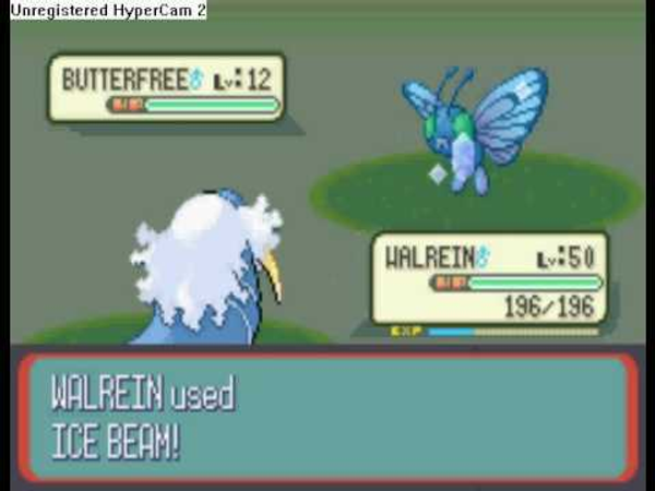 u found a shiny butterfree! what do u do?