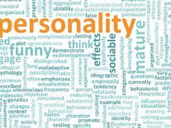 What personality best fits you?