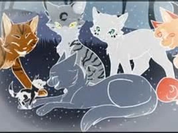 Are you loyal to Starclan?