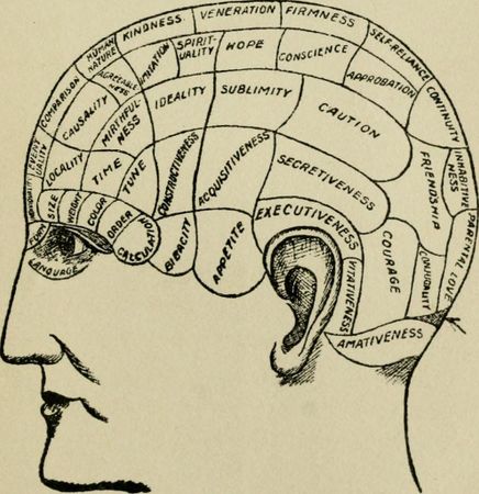 When understanding a new concept, do you prefer?