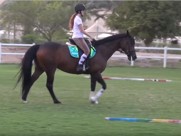 The instructor made a mistake  by making a sound with her noise. The mare started to trot. Making her body go up and down under the saddle.  What would you do?