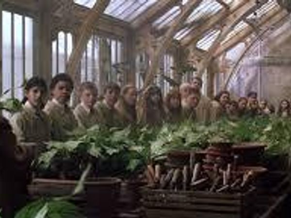 You have Botany with Slytherins...