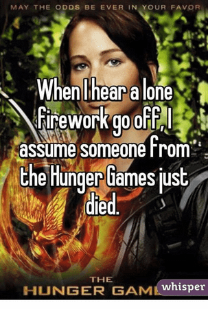 You won the Hunger Games (with or without your ally/district partner)! What is your reaction?