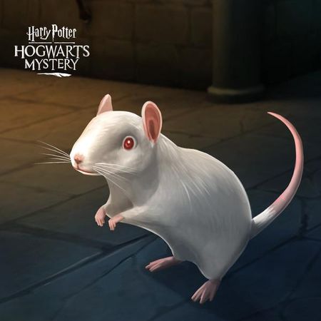 What animal would be your pet at Hogwarts?