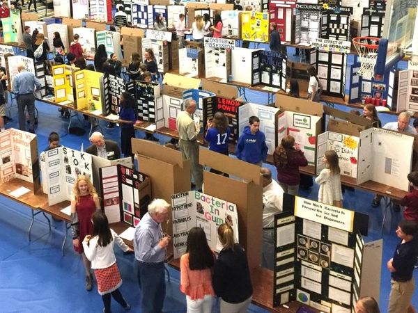 You're doing a science fair project. What is your topic?