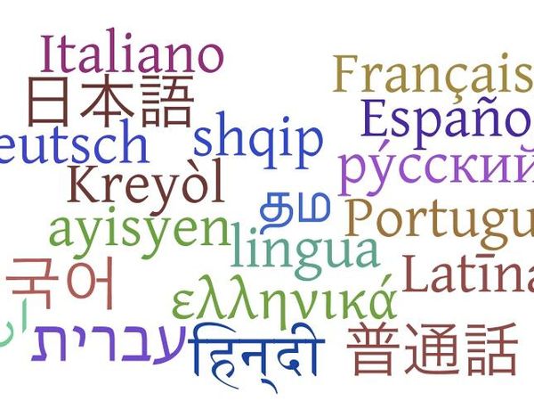 Would you ever like to learn a second or third language, if you haven't already?