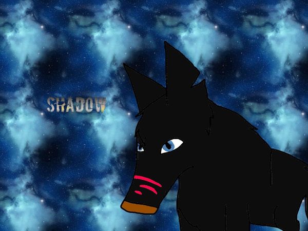 RP time: you see Shadow having problems tracking down his pups, what would you do?