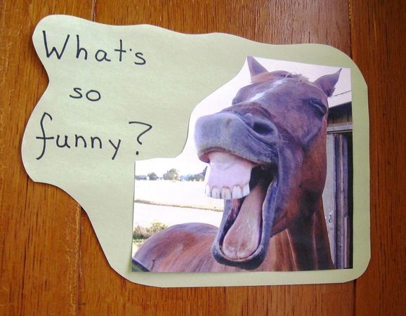 What do you find funniest?