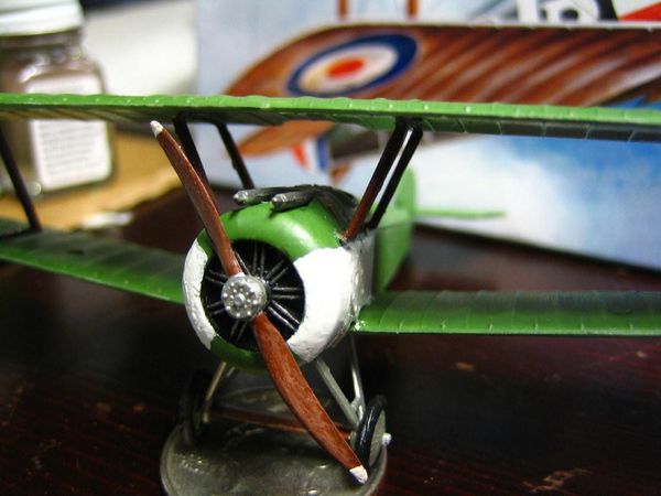 Which type of model airplane do you prefer?