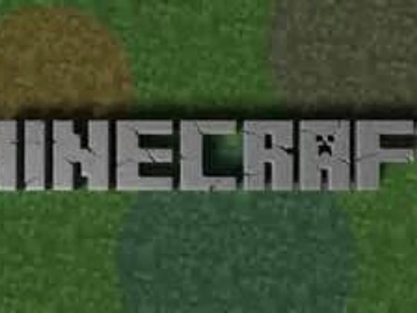 do you like Minecraft