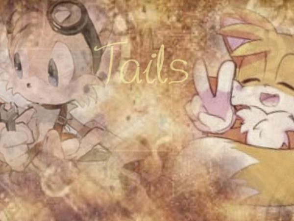 Tails discovers Eggmans plot to create false chaos emeralds! Eggman already has a whole factory full and they must be destroyed! Sonic is away fighting a new villain, so Tails asks you to go with him to attempt to destroy the false emeralds!