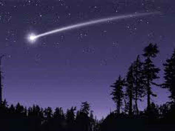 You were walking through the woods when you see a shooting star. "Star night, star bright. I wish I may, I wish I might. Have freedom I've wanting all my life." You watched as the star got closer a lot closer. " Wha..."  You quickly climb the nearest tree.