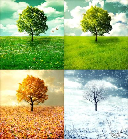 what is your favorite season