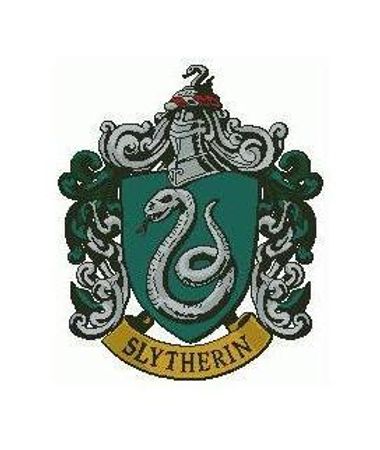 You are being bullied by a Slytherin! What do you do?