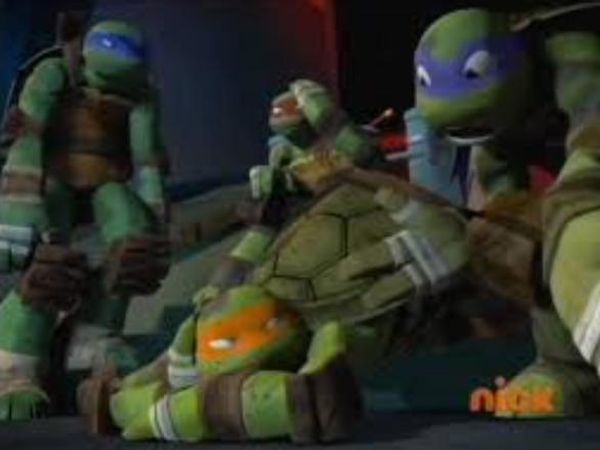 Does Donnie or Mikey, Raph, or Leo have a crush on April?