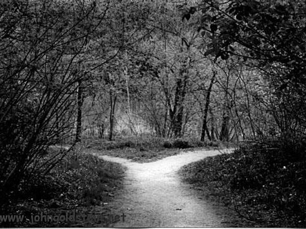 You heard a weird voice. For some reason you followed it till you saw a fork in the road. (ending here.) Which do you go?