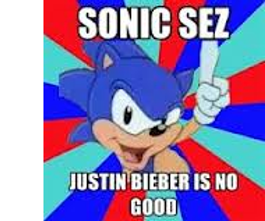 Me: ok its the end! did you like it? Sonic:btw remeber to... me and sonic: COMMENT!!!!