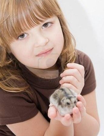 How much time could you spend with your hamster a day.