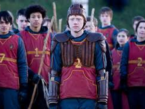 You get on the Gryffindor Quidditch team. you get seeker. What do you do?