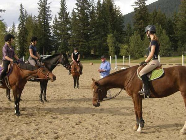 Would you make a good lesson horse? If so, for adults or kids?