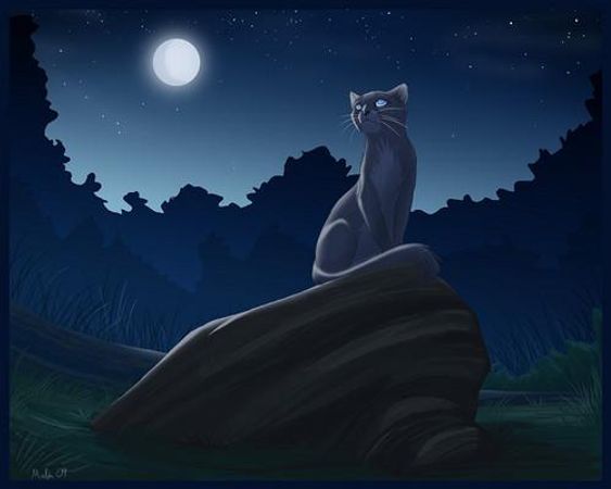 Do u like Bluestar?