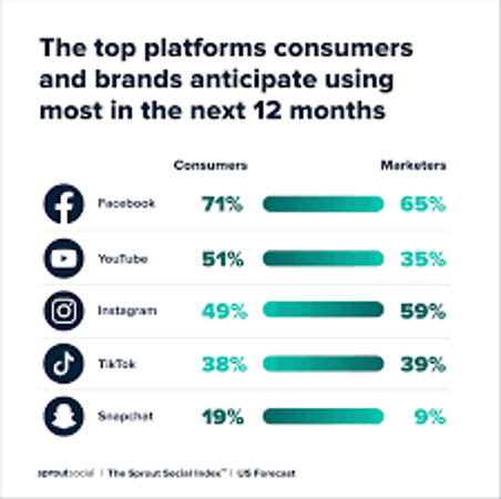 9. Which social media platform do you like best?