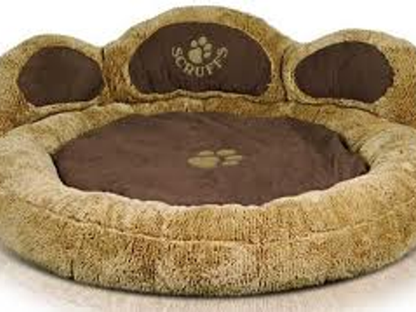 What type of dog would look best in this bed for an advert?