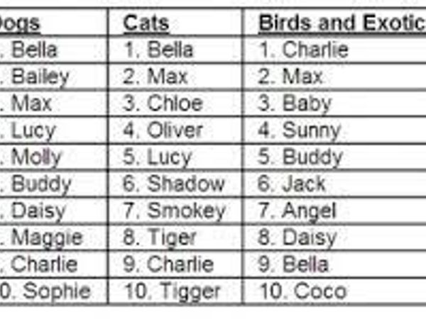 Best pet name(s)