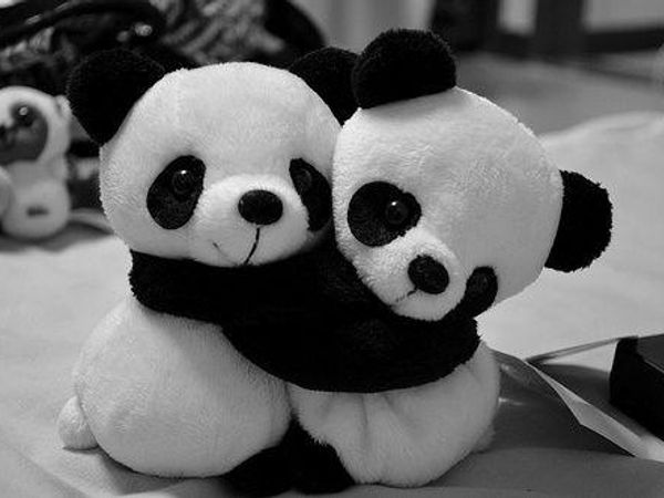 Finally do pandas hug?