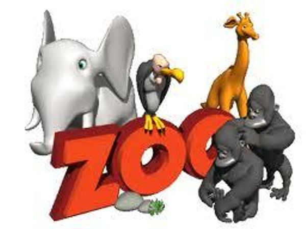 When I say Zoo what do you think of?