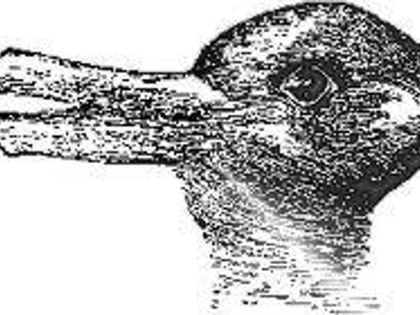 The hardest question of the world: Duck or rabbit