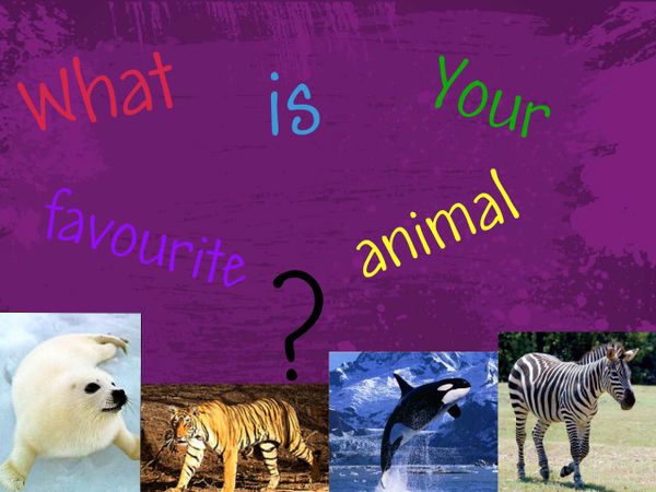 pick an animal?