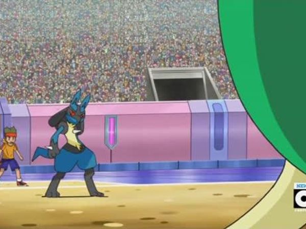 Since the humans have stopped staring at you you've noticed that a PokemonTrainor has come to try and catch you. He throws a poke ball and releashes a Pokemon called Lucario, what must you do?