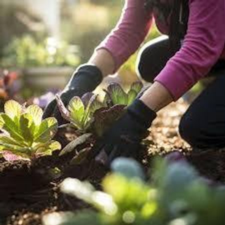 How do you maintain your garden?