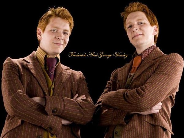 Starting off, what do you think of the weasley twins?