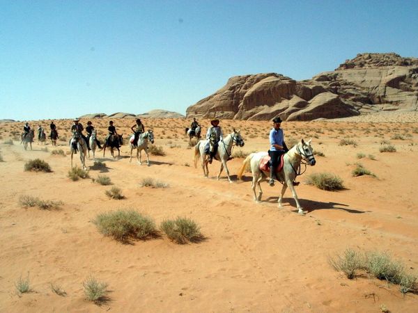 A friend of yours suggests you to go on a horse trip in the desert, what is your reaction ?