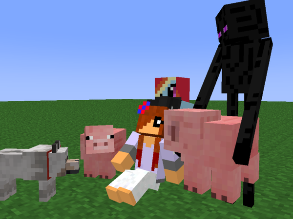 Do you have pets in mine craft?