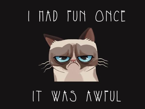 Grumpy Cat: Are you grumpy alot??!