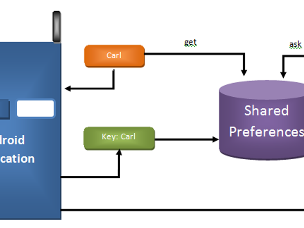 How do you prefer to store and manage your game library?