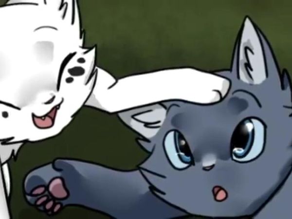 If you lived a happy wall you were yong like snowfur and bluestar and then your life fell apart what would you do?